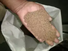 Fish Feed Manufacturers in Meghalaya